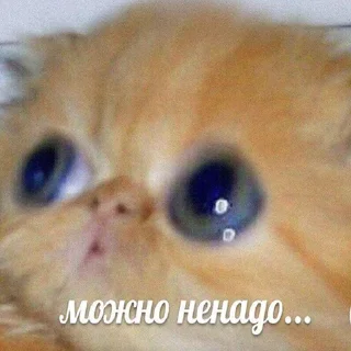 🙏