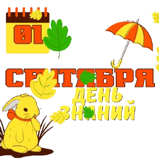 🍁