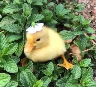 🙂