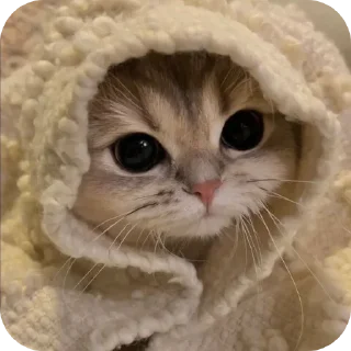 🧸