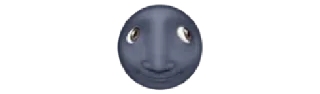 🌚