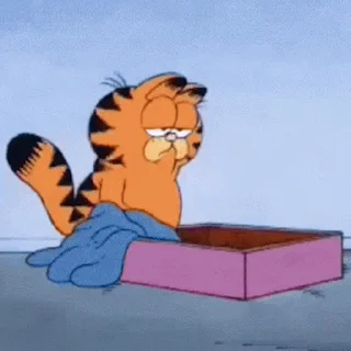 😴