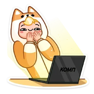 💻