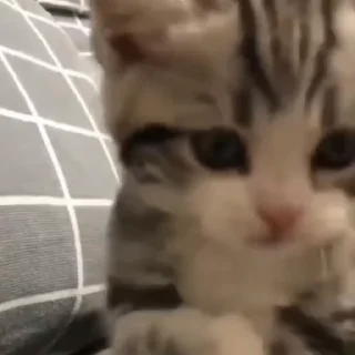 🤩