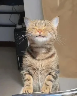 😄