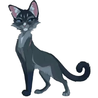 🐱