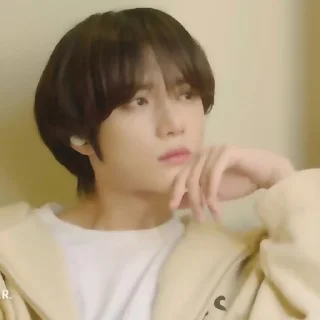 🐻