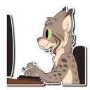 💻