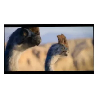 😄