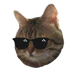 😎
