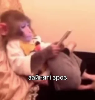 👨‍💻
