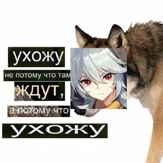 🐺