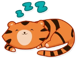 💤
