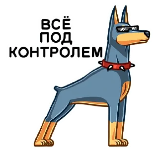 😎