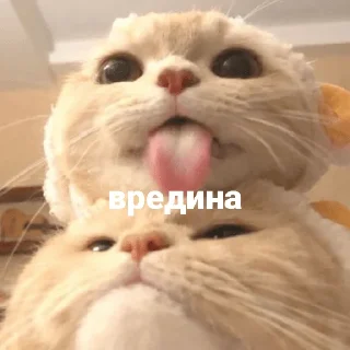 😝