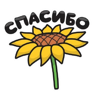 🌻