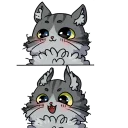 Fluffy Pussies