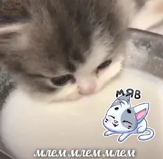 🥛