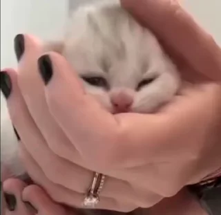 💤