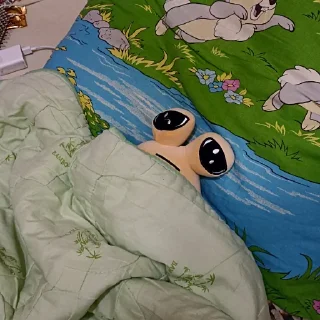 🥱
