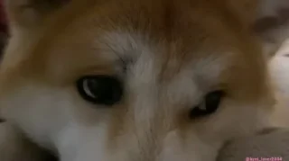 😔