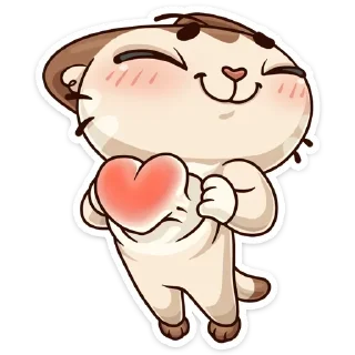 😍