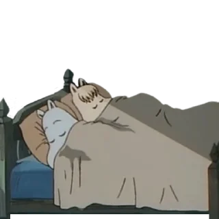 😴