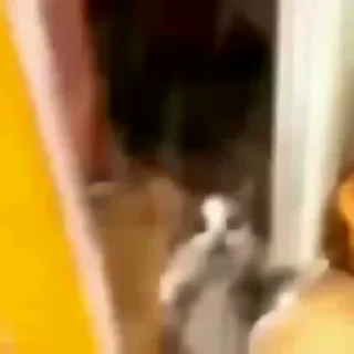 👾