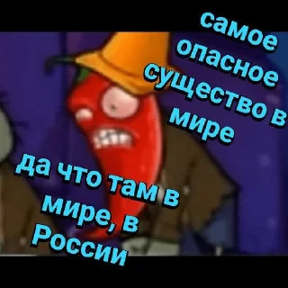 🌶️