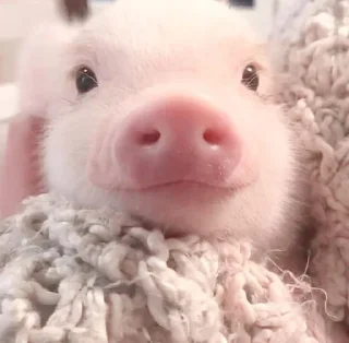 🙂