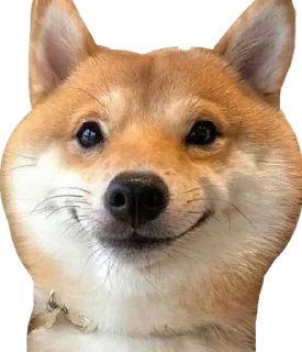 😃