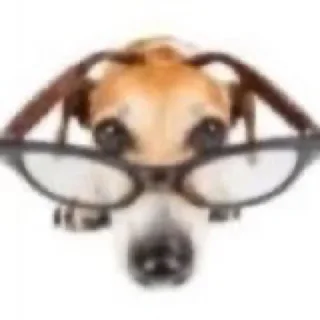 😳