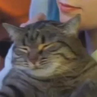 😴