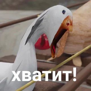 📦