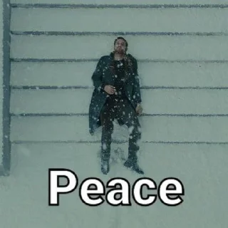 😴