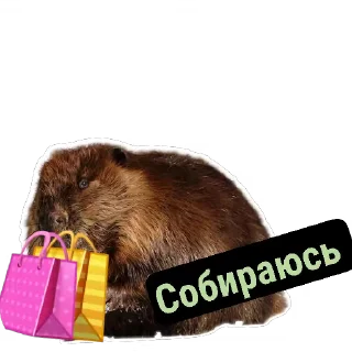 👜
