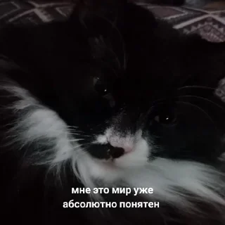 😭