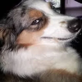 😏