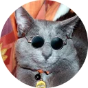 🐱