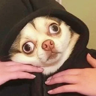 😱