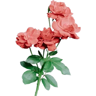 💐