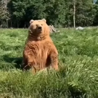 🤩