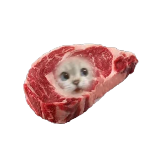 🥩