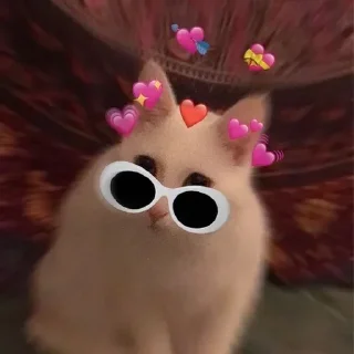 💞