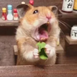 😳