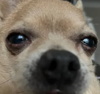 😑