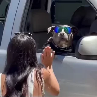 ✋