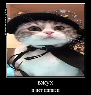 🙈