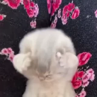 😒