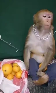 😜